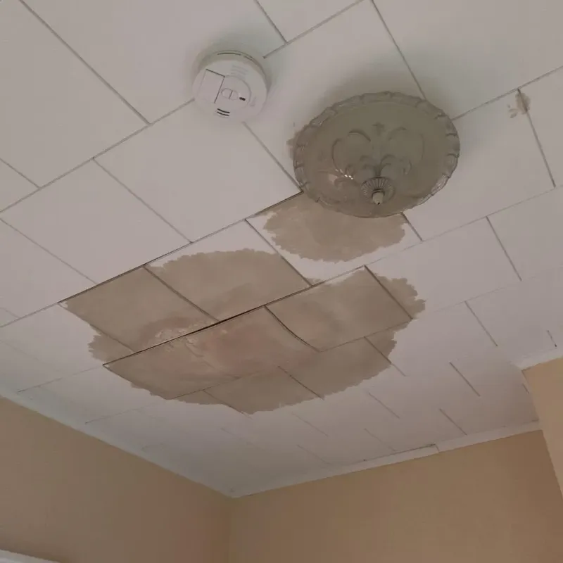 Ceiling Water Damage Repair in Logan County, NE