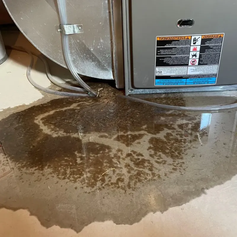Pipe Burst and Leak Restoration in Logan County, NE