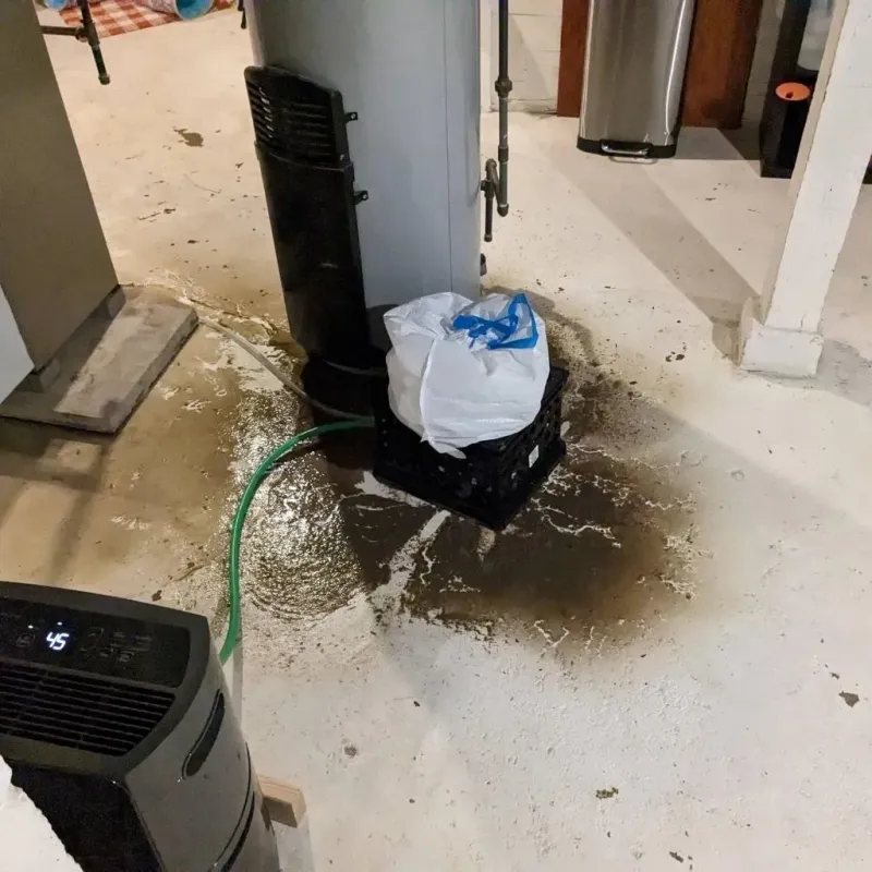 Sewage Backup Cleanup Service in Logan County, NE